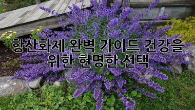 항산화제 완벽 가이드: 건강을 위한 현명한 선택