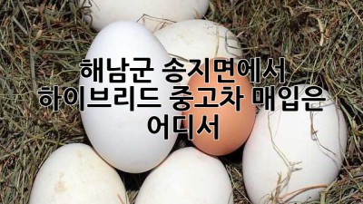 해남군 송지면에서 하이브리드 중고차 매입은 어디서?